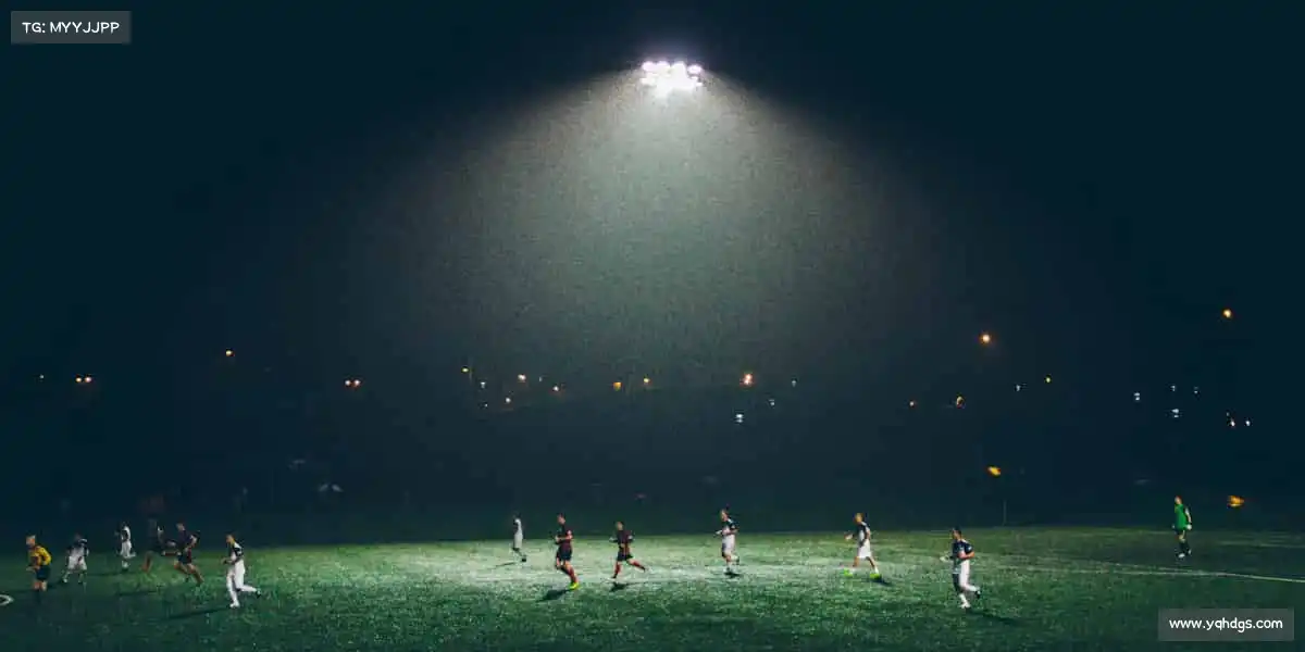 乐玩LEWIN-乐玩国际——🌞健康生活，运动点亮每一天！